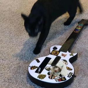 欧美亚洲顶级免费二级片
